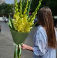 Букет из лимонных гладиолусов