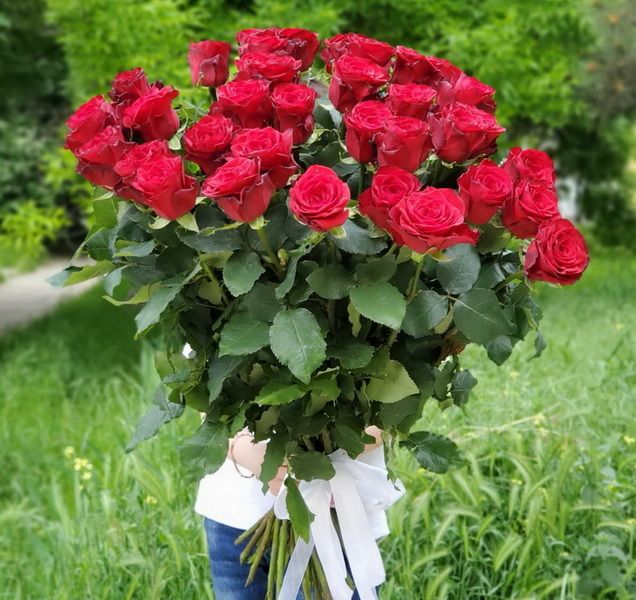 35 высоких бордовых роз 80 см
