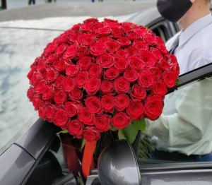 101  Красная роза 50см