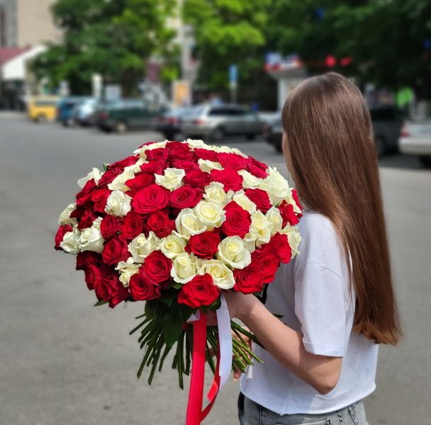 101 красная и белая роза (50 см) под ленту