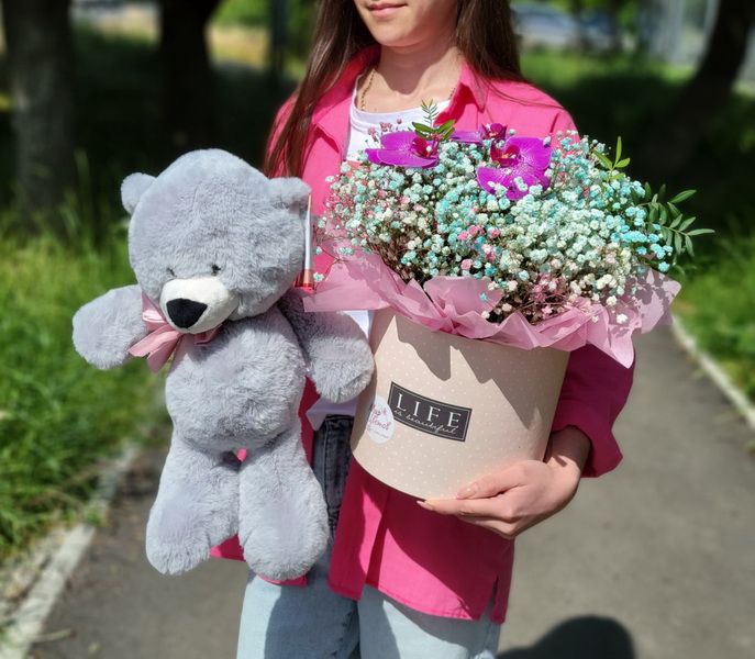 Медведь  Мика 37см + коробка гипсофилы