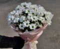 Букет с  ромашками