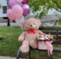 Медведь большой 120 см, 11 гелиевых шаров и коробка с розами "Особый случай"