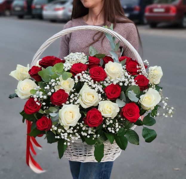 Корзина из 35 красных и белых роз с гипсофилой