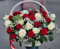 Корзина из 35 красных и белых роз с гипсофилой