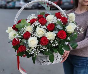 Корзина из 35 красных и белых роз с гипсофилой