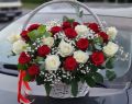 Корзина из 35 красных и белых роз с гипсофилой