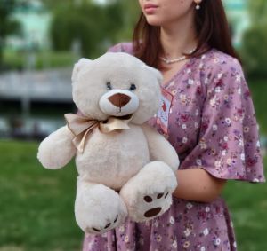 Медведь Мика 37 см
