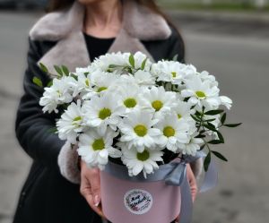 Коробка с ромашками