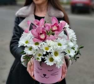 Коробка кошка