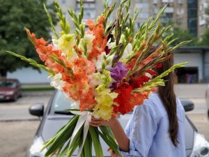 Гладиолусы 35 штук