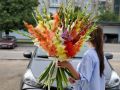 Гладиолусы 35 штук