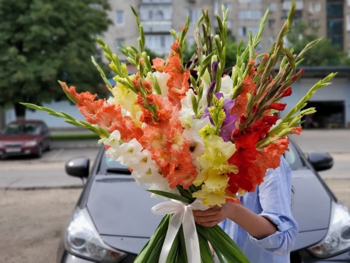 Гладиолусы 35 штук