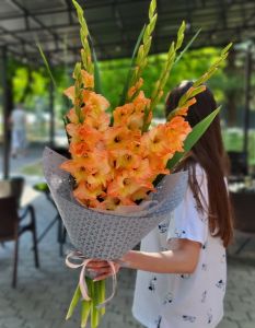 Букет из  коралловых гладиолусов