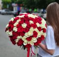 101 красная и белая роза (50 см) под ленту