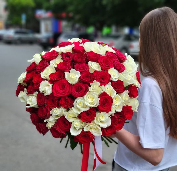 101 красная и белая роза (50 см) под ленту