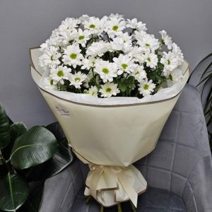 Ромашки букет