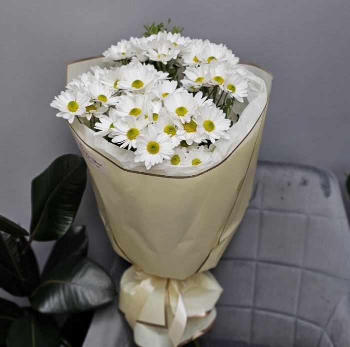 Ромашки букет
