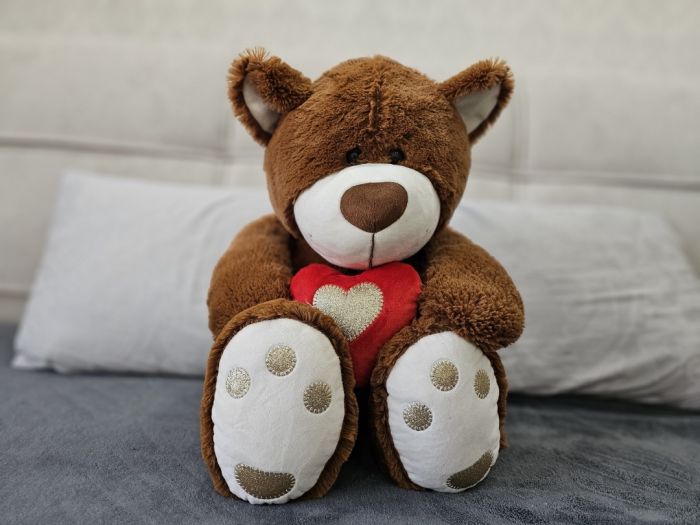 Медведь Тима 70см