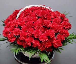Корзина с гвоздиками