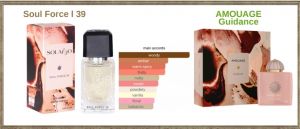 AMOUAGE Guidance